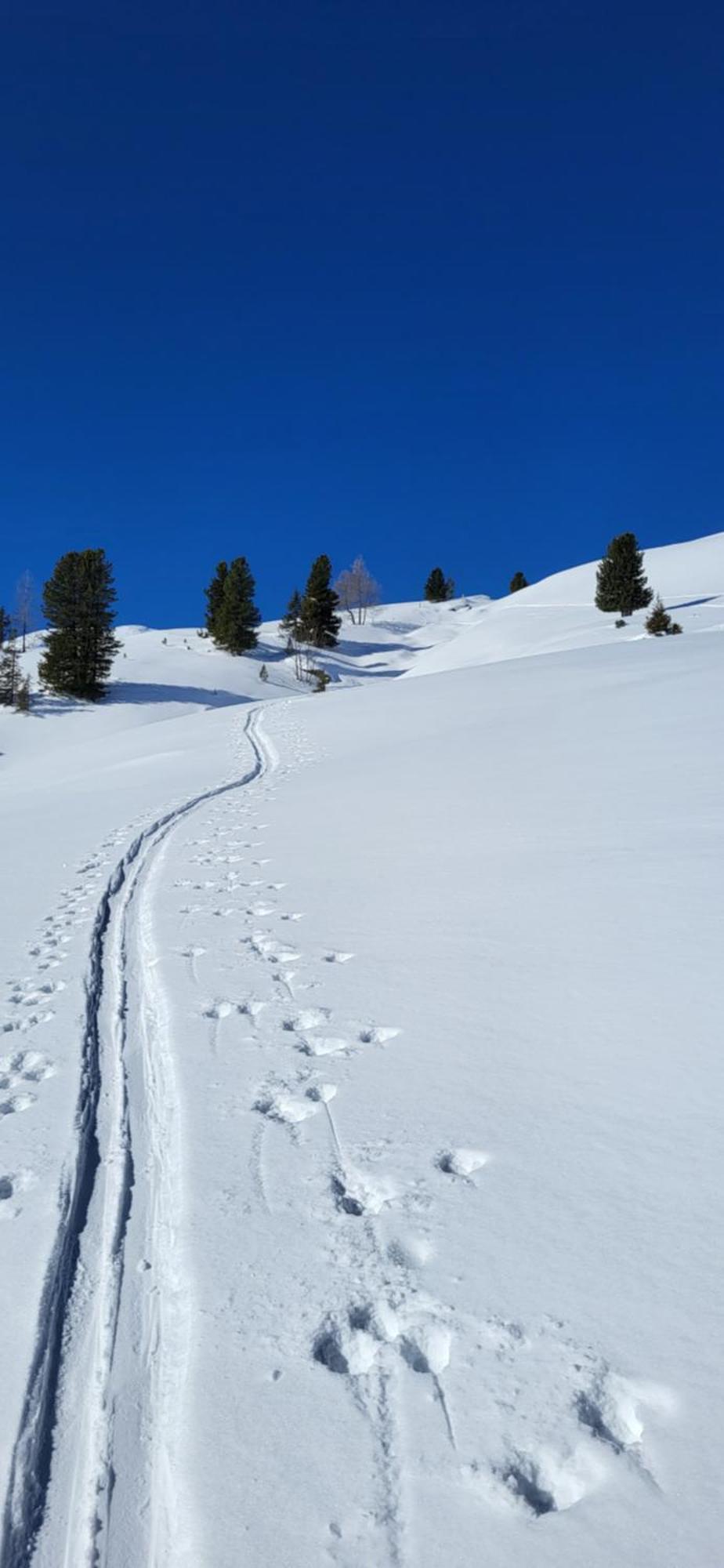 Am Waldrand 252 Διαμέρισμα Neukirchen am Großvenediger Εξωτερικό φωτογραφία